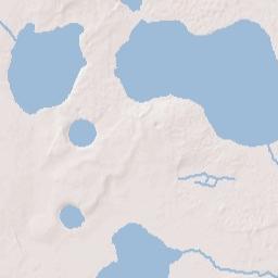 Maxcy Quarters Florida Terrain Map