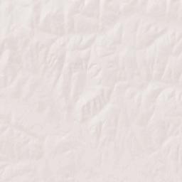 5701-6093 Texas 339, Benavides, TX Terrain Map