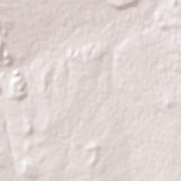 San Francisco de Conchos Terrain Map