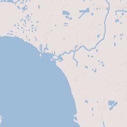 Whitfield Estates Florida Terrain Map