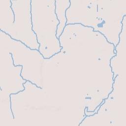 Basinger Florida Terrain Map