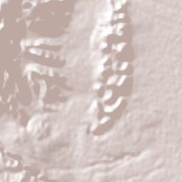 Ocampo Terrain Map