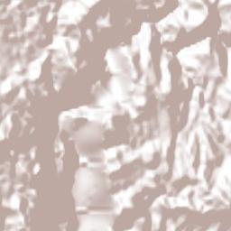 Témoris Terrain Map