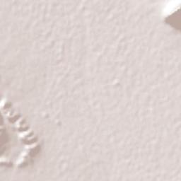 Primero de Mayo Terrain Map