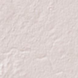 Anáhuac Terrain Map