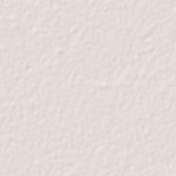 Achhnera Terrain Map