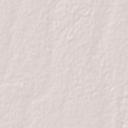 Bacame Nuevo Terrain Map