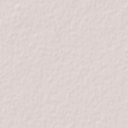 Villa Juárez Terrain Map