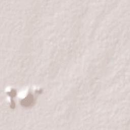 Jitonhueca Terrain Map