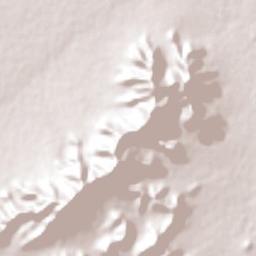 Allende Terrain Map