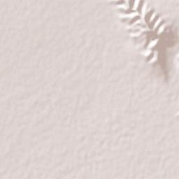 San Buenaventura Terrain Map
