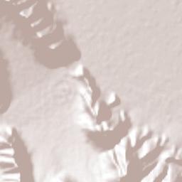 Lamadrid Terrain Map