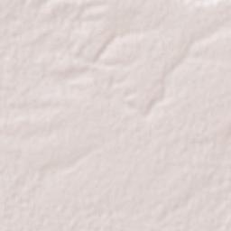 El Saneal Terrain Map