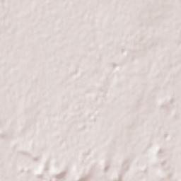 Colonia Diana Laura Riojas de Colosio Terrain Map