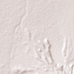 Monclova Terrain Map
