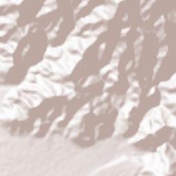 Phuntsholing Terrain Map