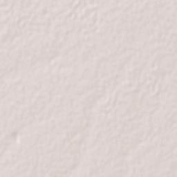 Bacabachi Terrain Map