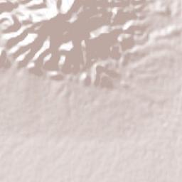 Castaños Terrain Map