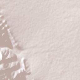 Bustamante Terrain Map