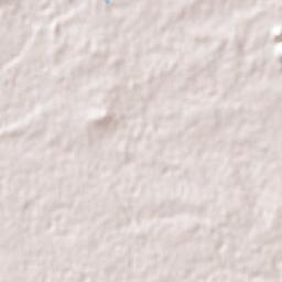 El Fuerte Terrain Map