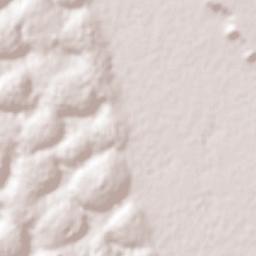 Az Zulfī Terrain Map