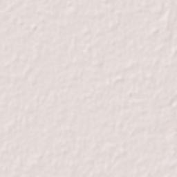 Salempur Terrain Map