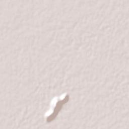 Chihuahuita Terrain Map