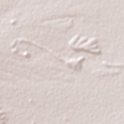 Castanos - Saltillo, Coahuila, Mexico Terrain Map