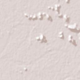 El Aguajito Terrain Map