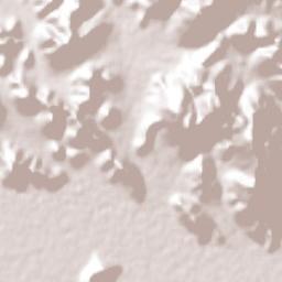 Ejido Tosalibampo Terrain Map