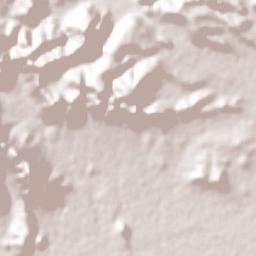 Nuevo San Miguel Terrain Map