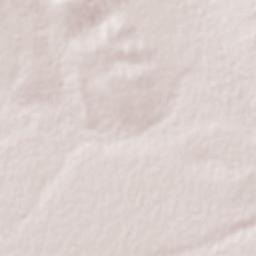 Hidalgo Terrain Map