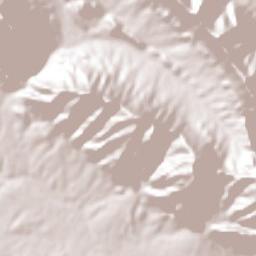 Hidalgo Terrain Map