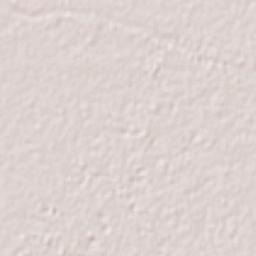 Ejido Mayocoba Terrain Map