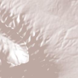 Alberto Villarreal Terrain Map