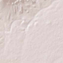 El Carmen Nuevo León Terrain Map