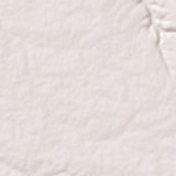 Sheopur Terrain Map