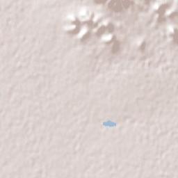 Concentración 5 de Febrero Terrain Map