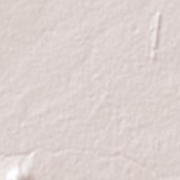 Buena Vista Terrain Map