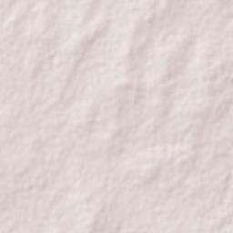 General Tapia Terrain Map