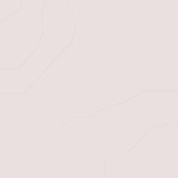 CEFERESO Número 3 Terrain Map