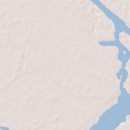 Revelganj Terrain Map