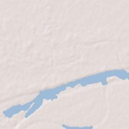 Dighwara Terrain Map
