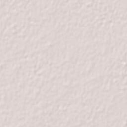 Santa Cruz Luján Terrain Map