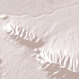 Los Parques Terrain Map