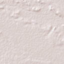 Pesquería Terrain Map