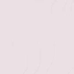 Anáhuac Terrain Map