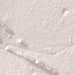 Monterrey Terrain Map