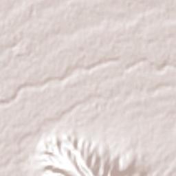 Guadalupe Terrain Map