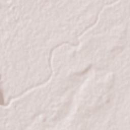 Los Dos Ríos Terrain Map
